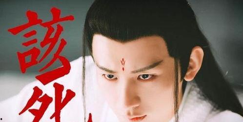 成毅视频素材,视频素材中的精彩演绎