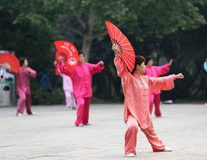 太极扇中国功夫视频,探寻中国功夫的和谐之美
