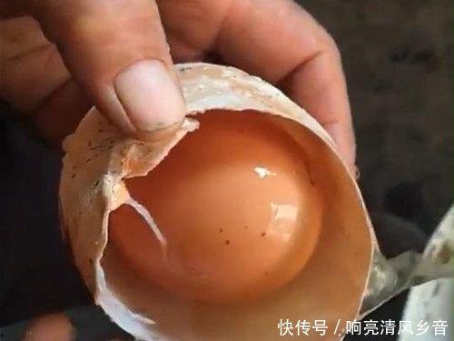 黄蛋视频,揭秘生活趣味瞬间