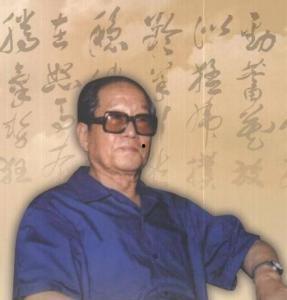 刘云樵八极拳视频,传统武术与现代演绎的完美融合